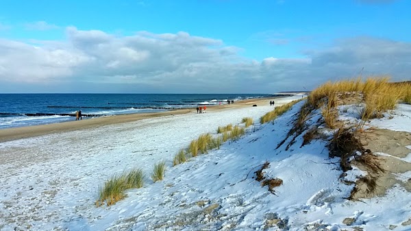 Markgrafenheide 1