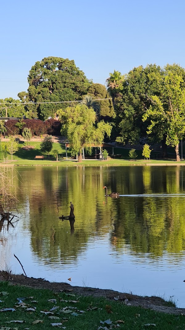 Wodonga