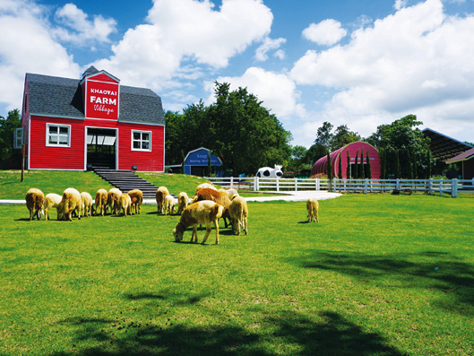 Khao Yai Farm Village