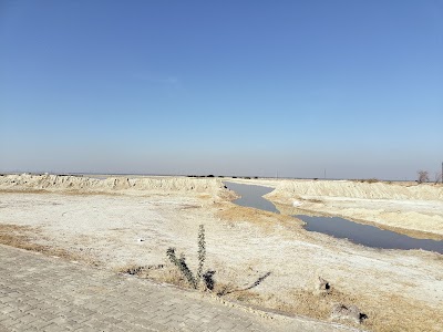 Shakambari Jheel 2