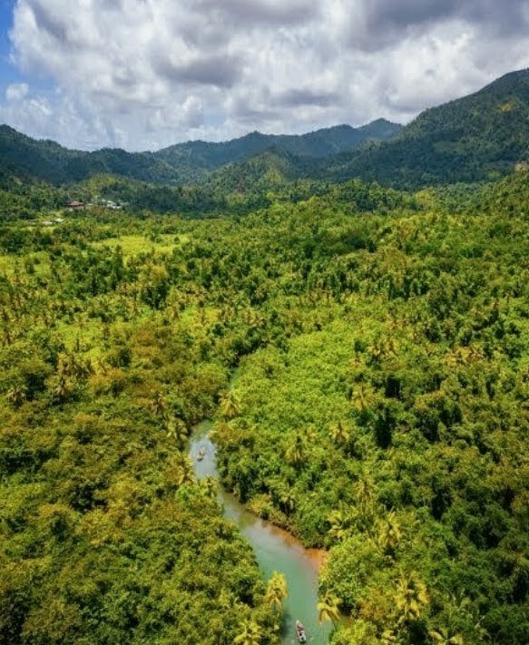 Indian River Tours