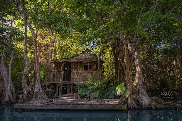 Indian River Tours 5