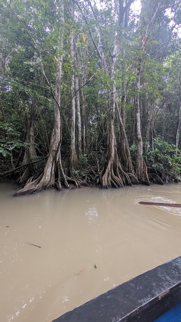 Indian River Tours 4