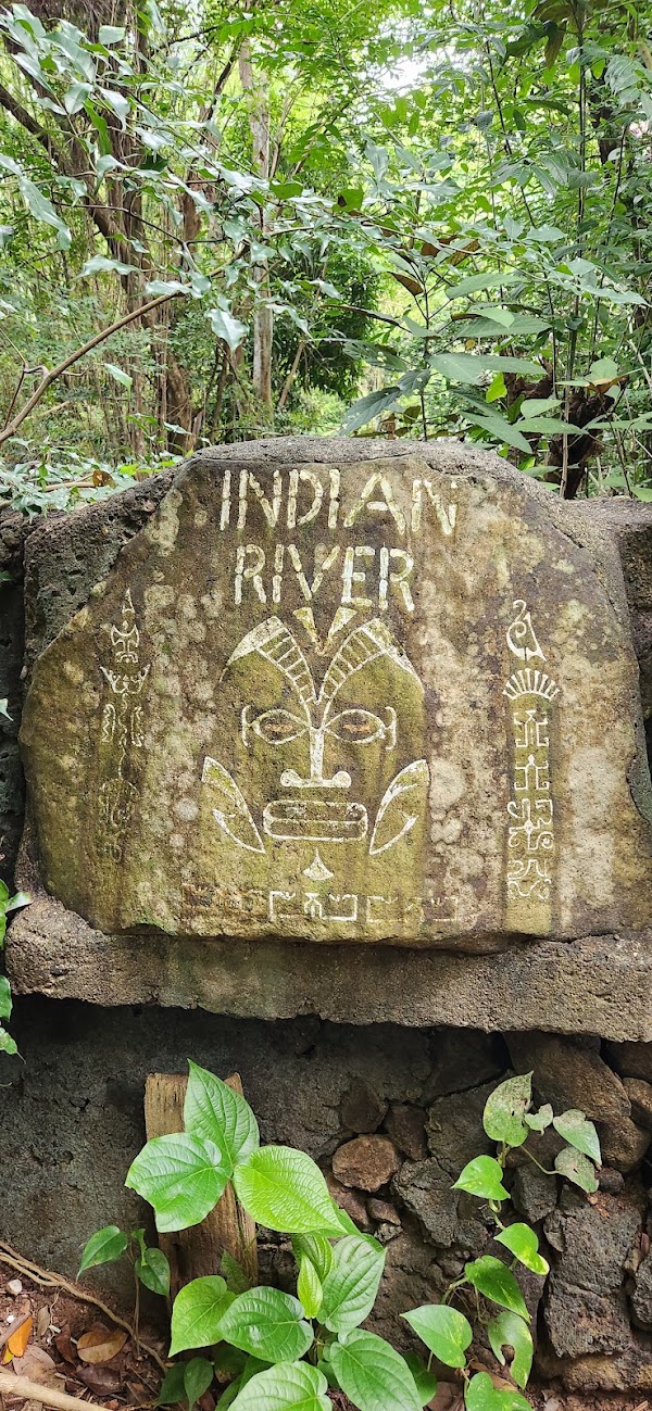 Indian River Tours 3