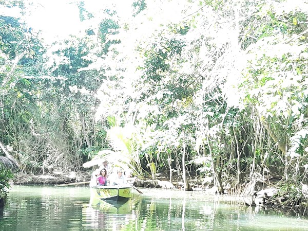 Indian River Tours 2
