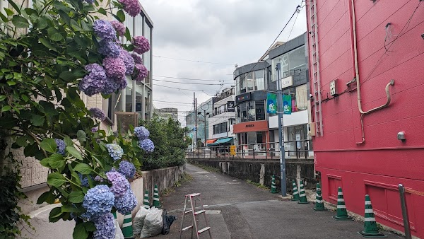 Cat Street 1
