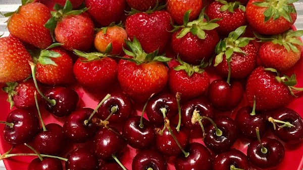 Always Fresh Ph Fruit Delivery