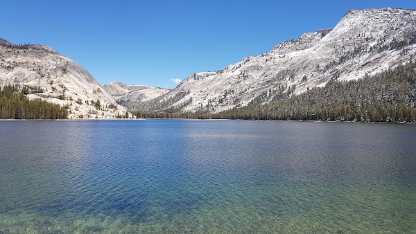 Tioga Road