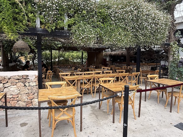 Las Dalias de Ibiza 5