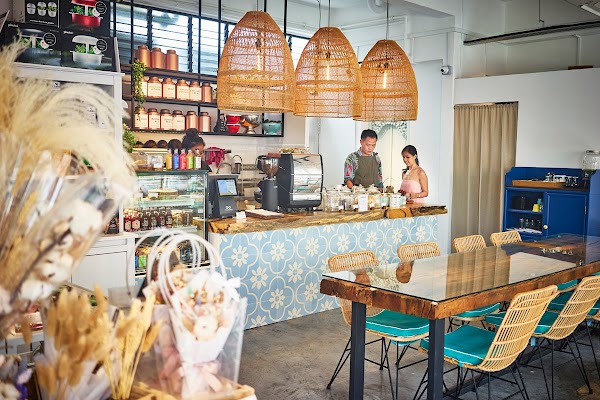 The Social Space