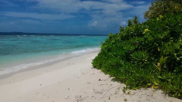 Omadhoo
