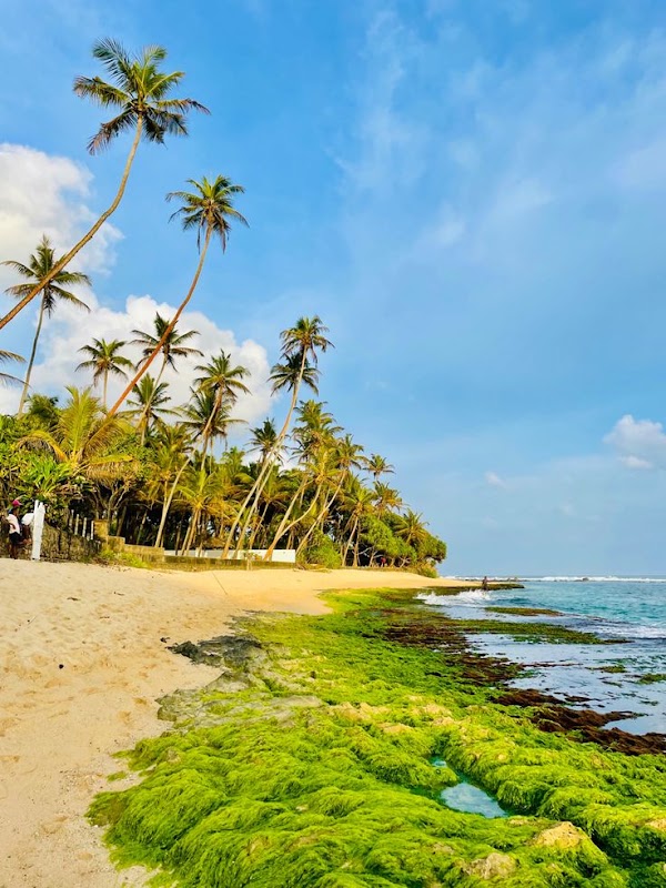 Unawatuna Beach 2