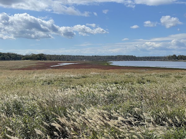 Notsuke Peninsula