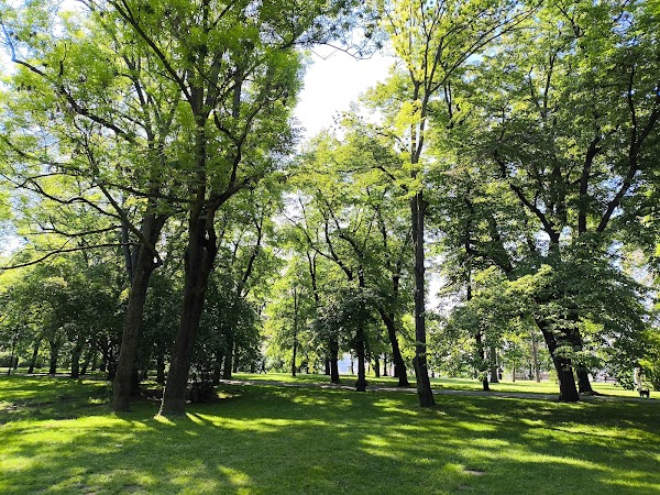 Letna Park 6