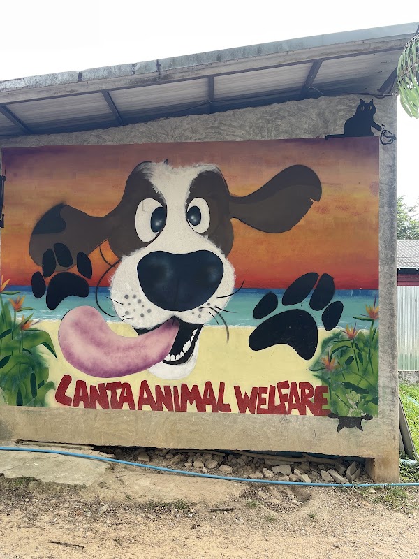 Lanta Animal Welfare 4