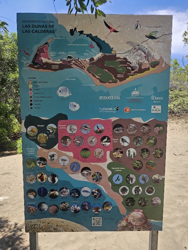 Dunas de Las Calderas Baní 4