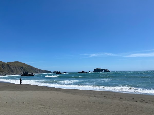 Goat Rock State Beach - Sonoma Coast State Park 4