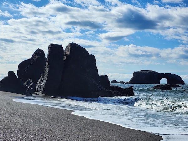 Goat Rock State Beach - Sonoma Coast State Park 3