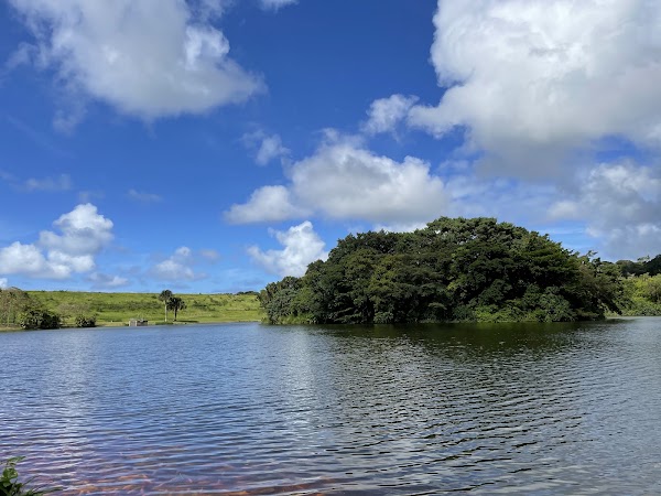 Hoʻomaluhia Botanical Garden 4