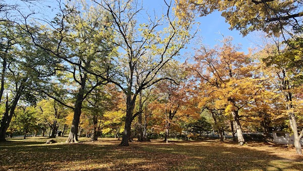 Torinuma Park