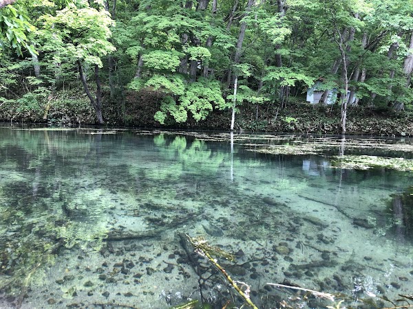 Torinuma Park 4