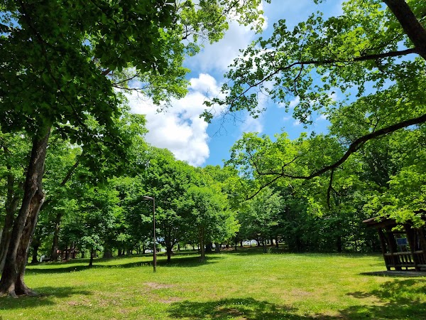 Torinuma Park 2