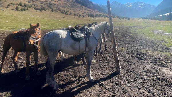 HORSE RIDING TOURS IN KARAKOL valley and Altyn Arashan valley