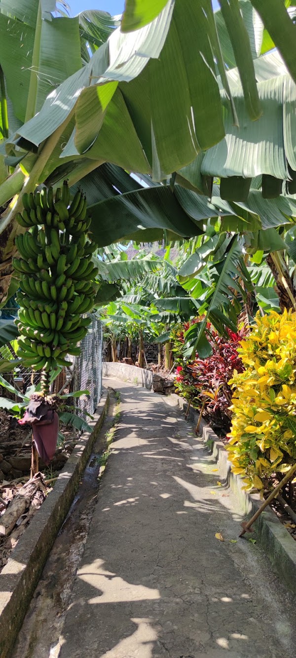 RB2 Vereda do Nateiro (Banana route)
