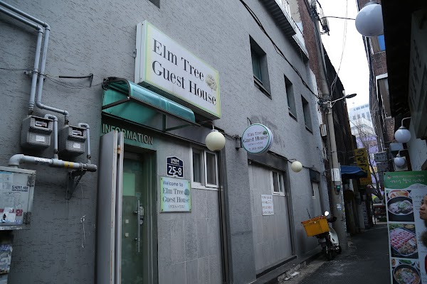 Elm Tree Guesthouse Myeongdong