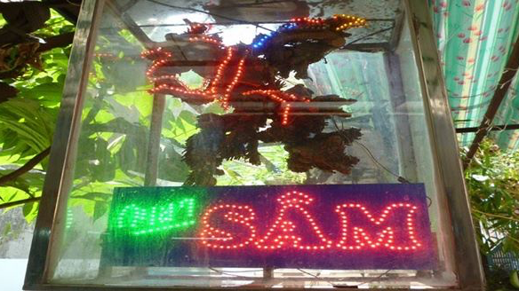 Mì Quảng Sâm 3