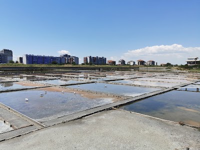 Salt Museum