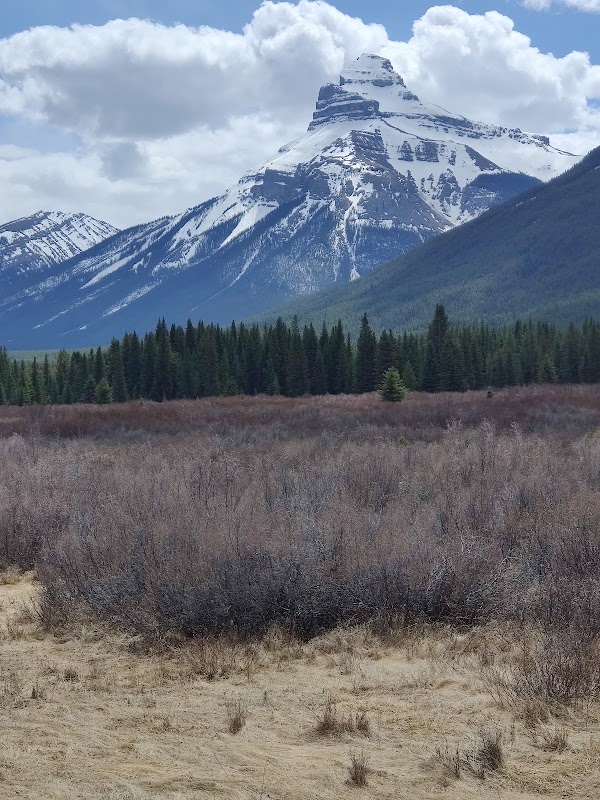 Bow Valley Parkway 4