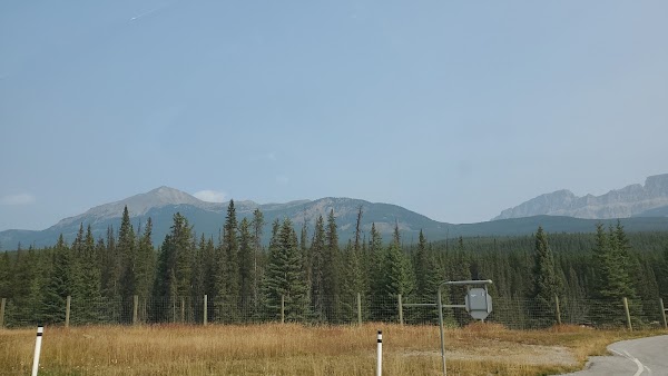 Bow Valley Parkway 3