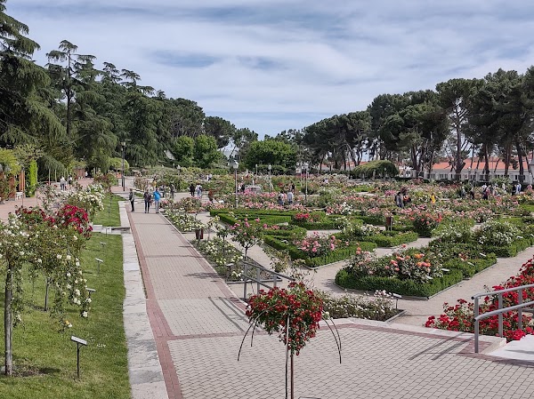 Western Park