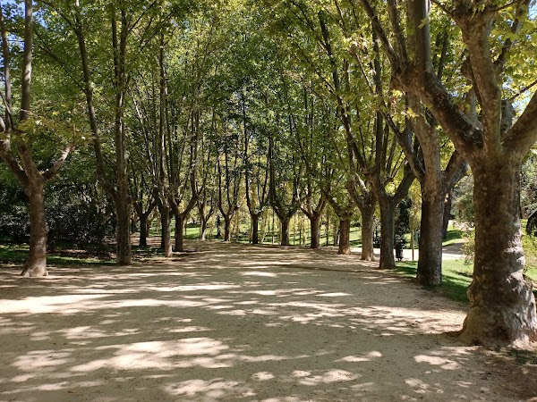 Western Park 4