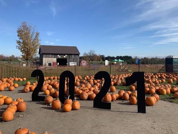 Pingle's Farm Market 5