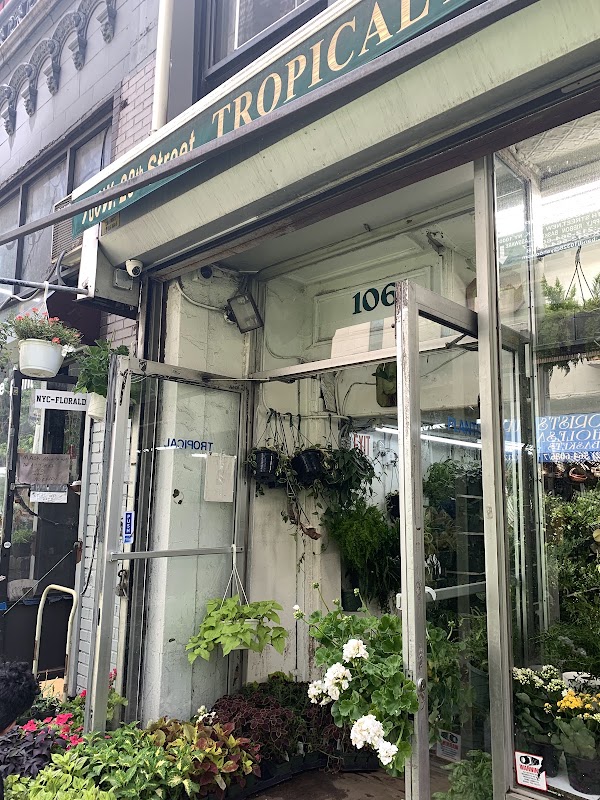 Tropical Plants And Orchids Inc 1