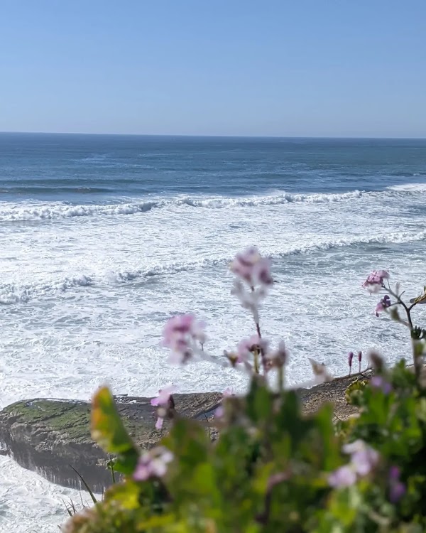 Davenport 1