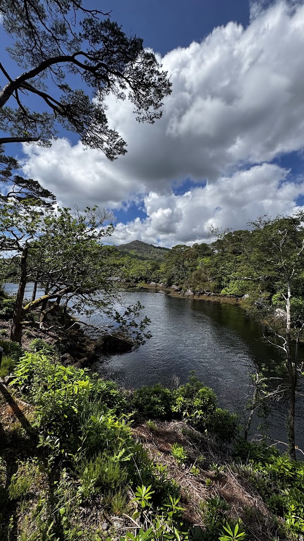 Deirdre's Lookout 4