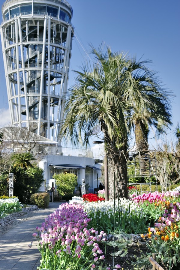 Enoshima Samuel Cocking Garden 5
