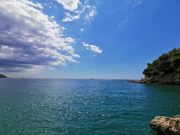 Pula 4