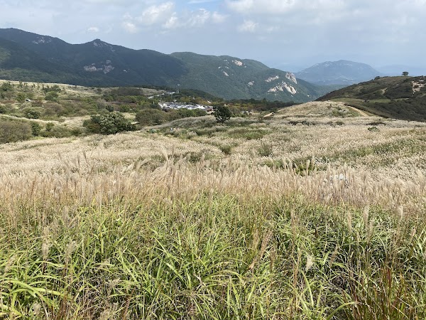 황매산 억새 군락지 1