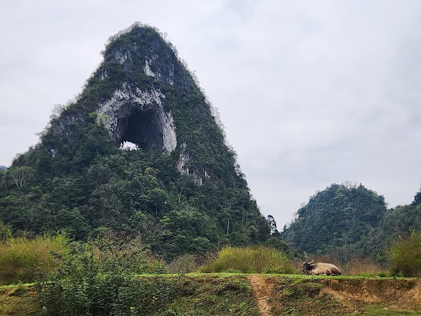 Local Ha Giang Loop Tours, Hotel & Rentals 5