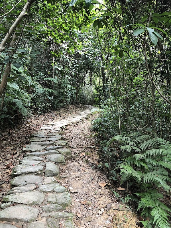 Bride's Pool Nature Trail 2