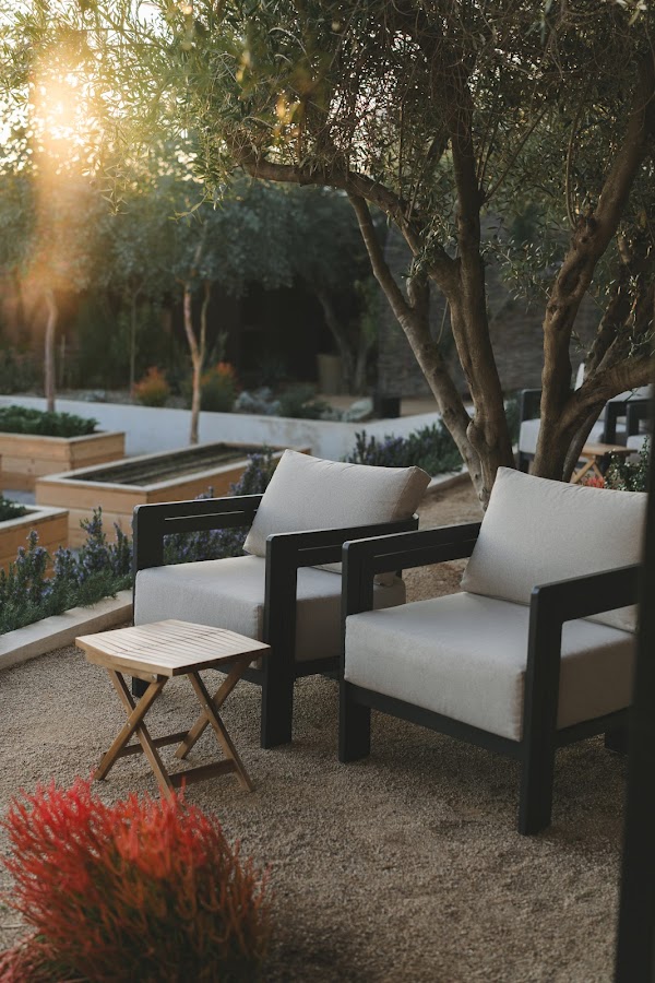 Olivea Farm to Table 1