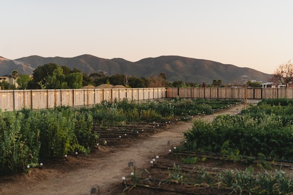 Olivea Farm to Table 3