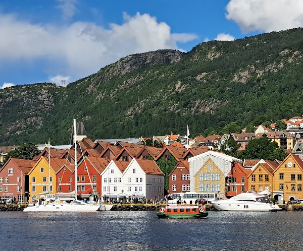 Bergen Harbor 5