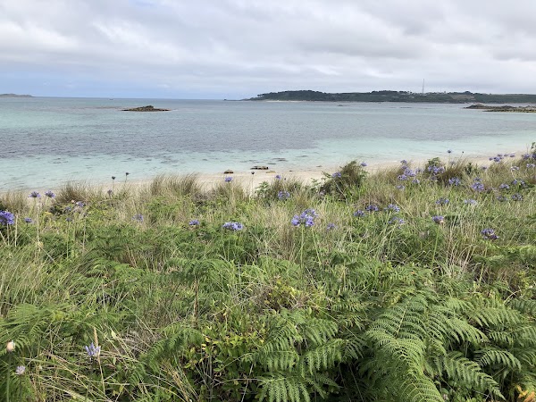 Pentle Bay 4