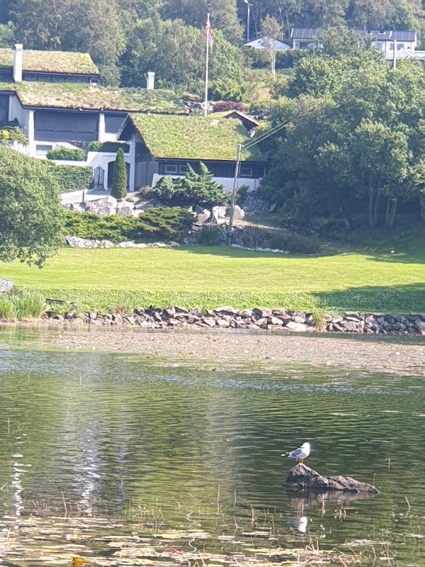 Langevåg