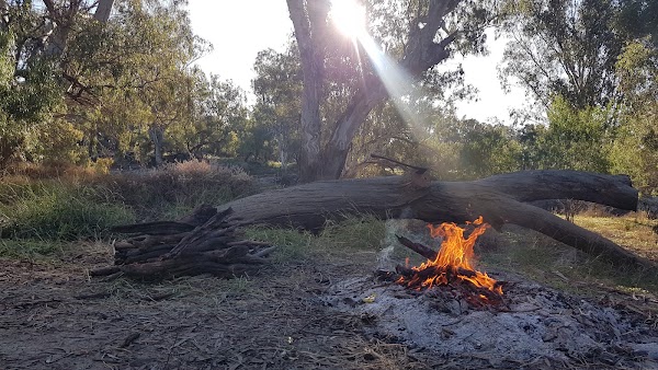 Brewarrina Four Mile Camping Reserve 2